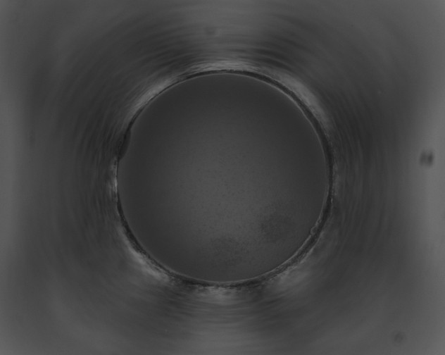 X0000091641241200708301352