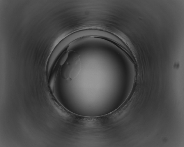 X0000091641242200708301352
