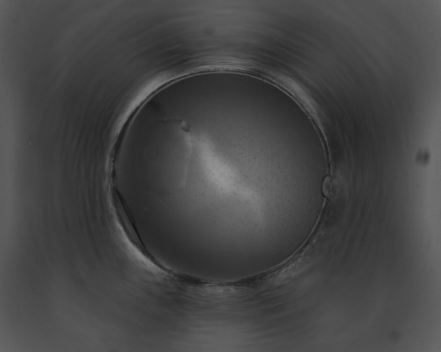 X0000091641243200708301352