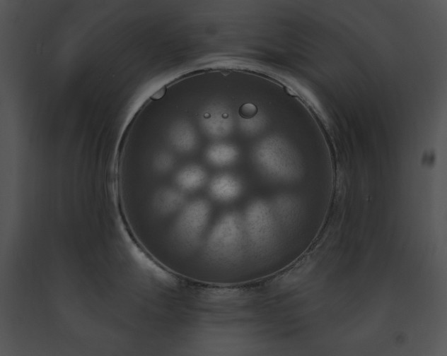 X0000091641247200708301352