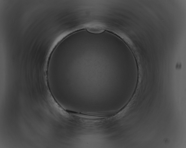 X0000091641248200708301352