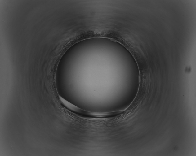 X0000091641249200708301351