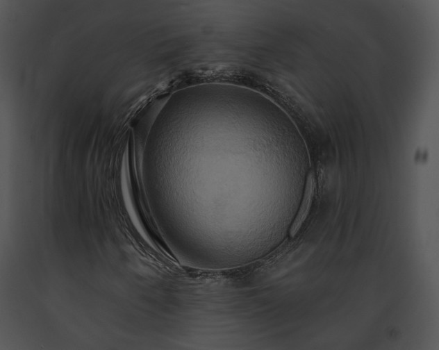 X0000091641250200708301351