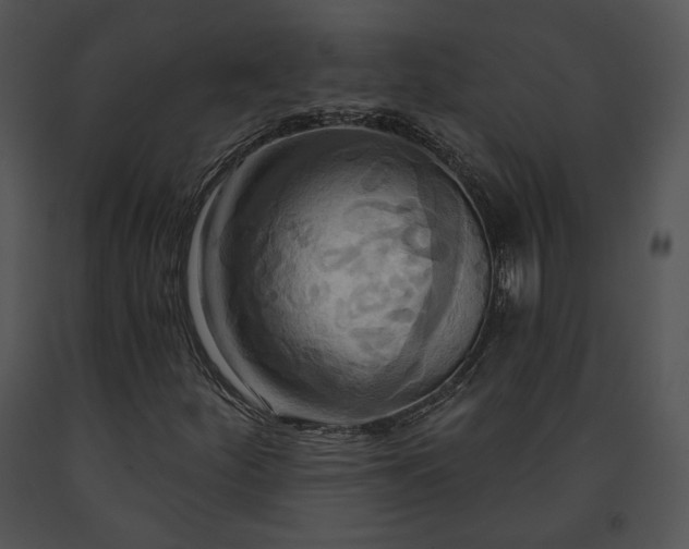 X0000091641252200708301351