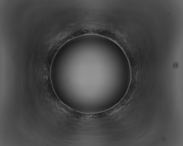 X0000091641253200708301351