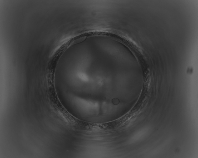 X0000091641255200708301351