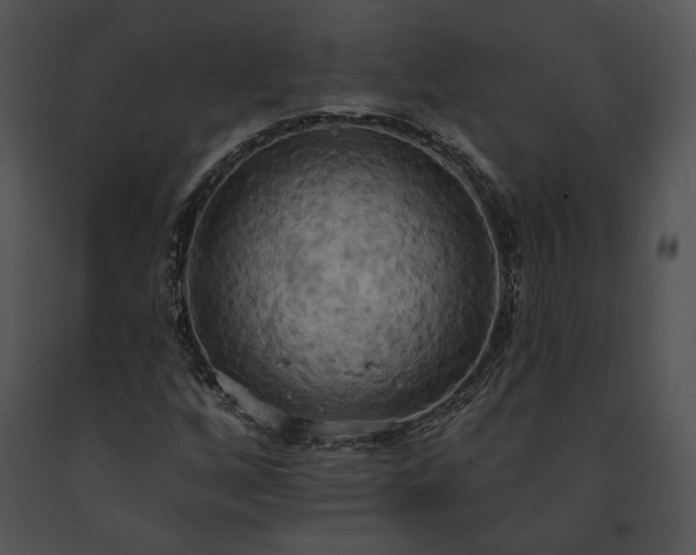 X0000091641256200708301351