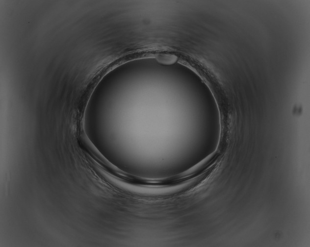 X0000091641257200708301351