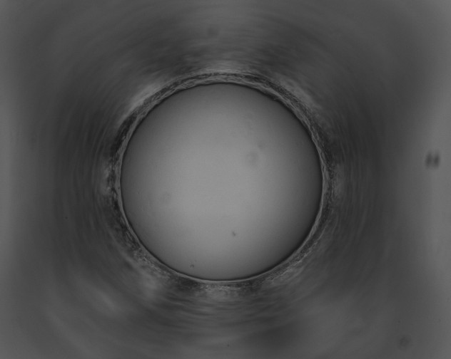 X0000091641258200708301351