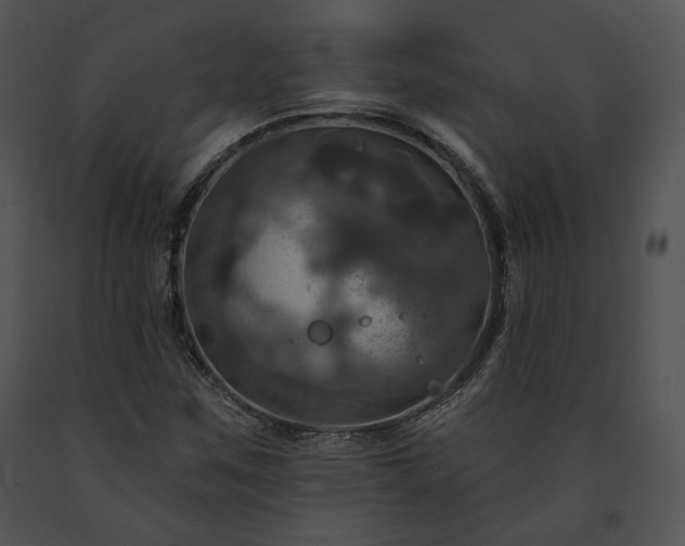 X0000091641259200708301351