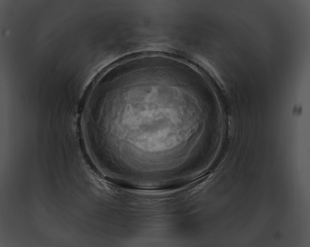 X0000091641260200708301351