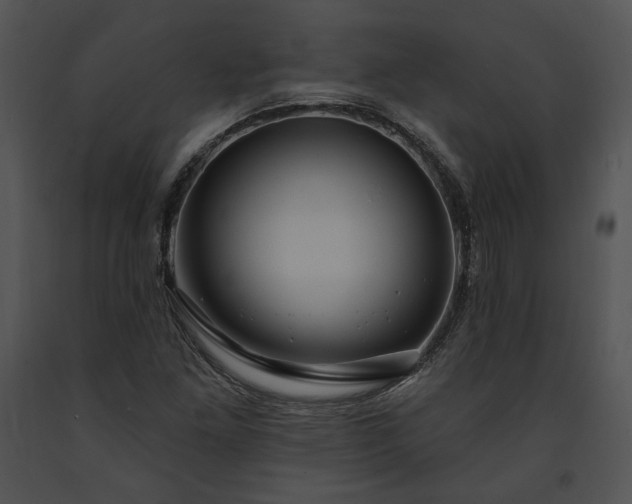 X0000091641261200708301351
