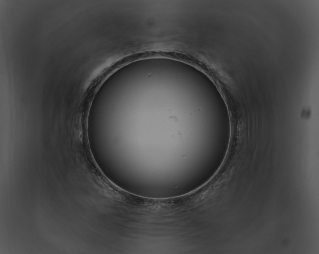 X0000091641262200708301351
