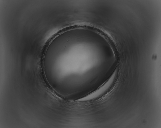 X0000091641263200708301351