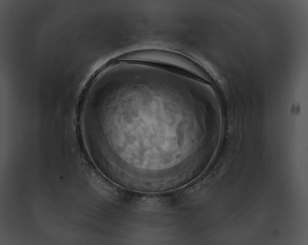 X0000091641264200708301351