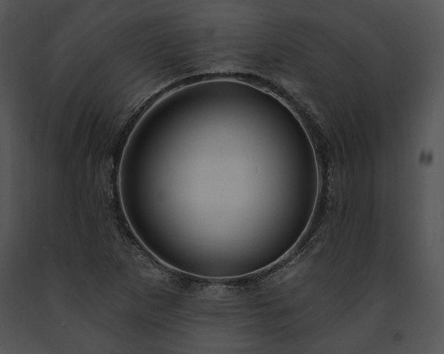 X0000091641265200708301351