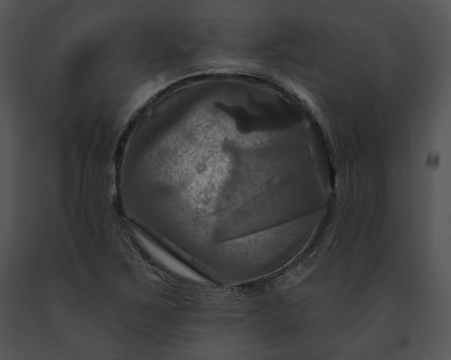 X0000091641267200708301351