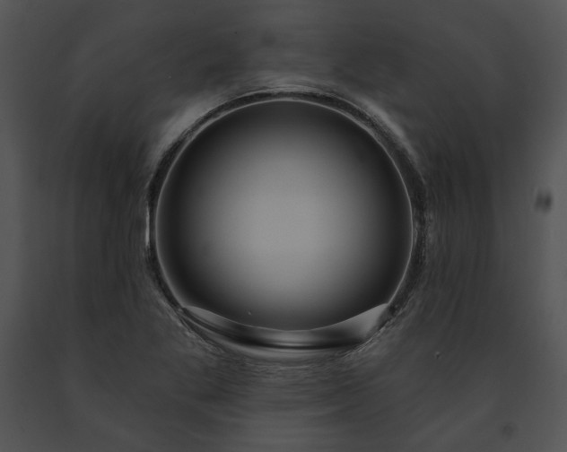 X0000091641269200708301351