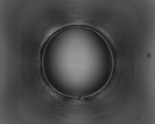 X0000091641270200708301351