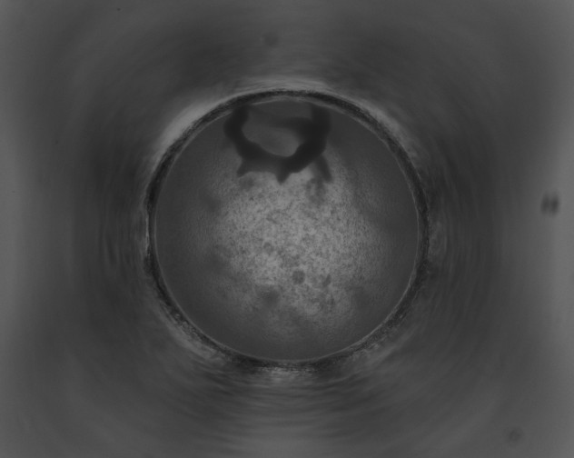 X0000091641271200708301351