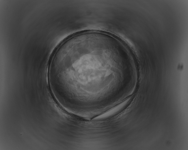 X0000091641272200708301351