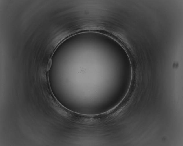 X0000091641273200708301351