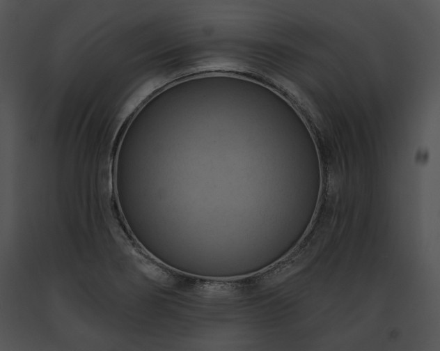 X0000091641274200708301351