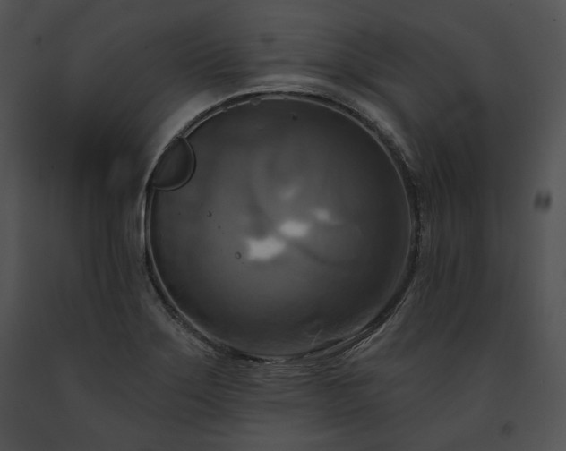 X0000091641275200708301351