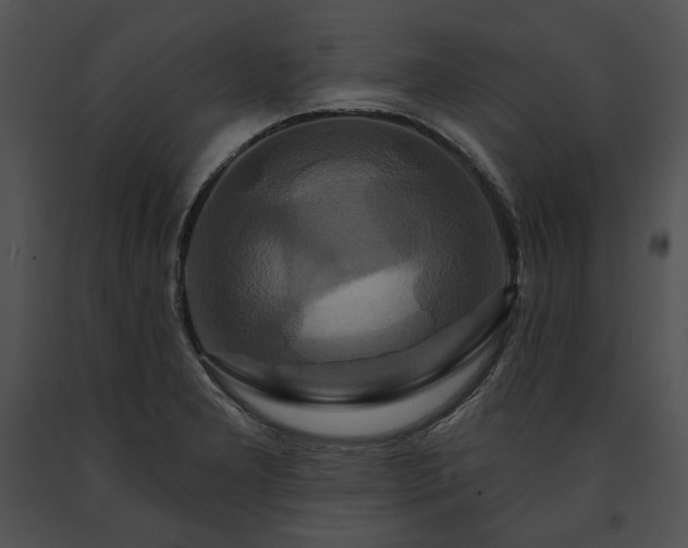 X0000091641277200708301351