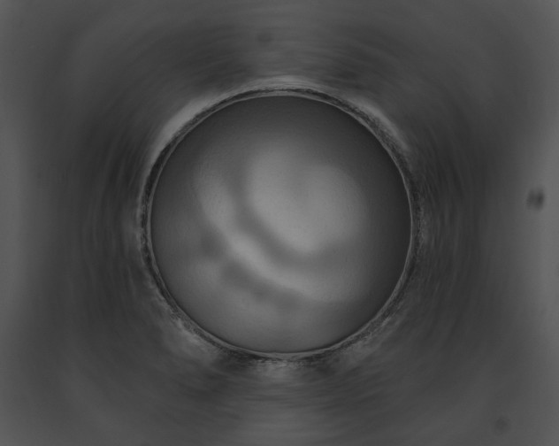 X0000091641278200708301351
