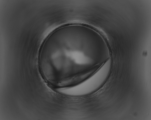 X0000091641279200708301351