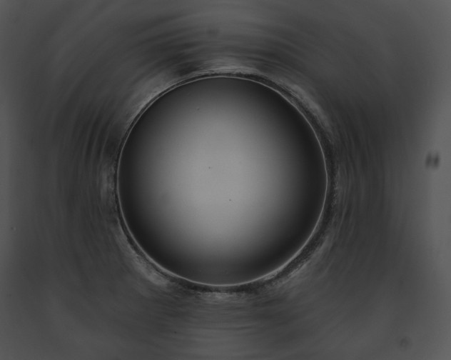 X0000091641281200708301351