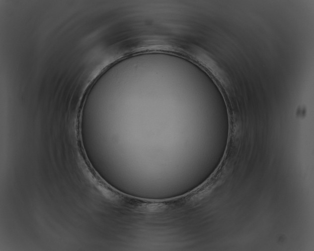X0000091641282200708301351