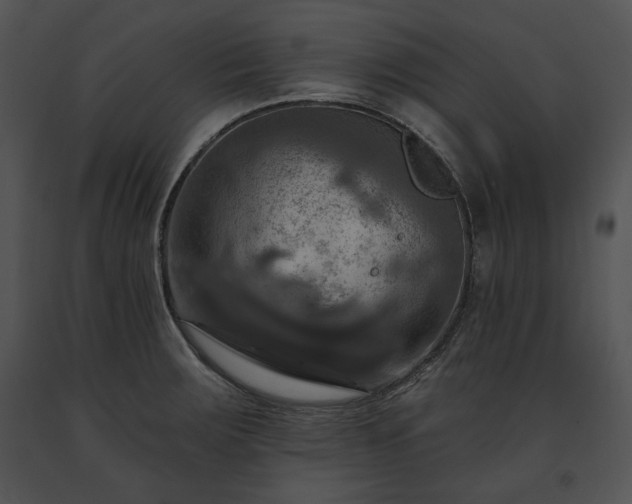 X0000091641283200708301351