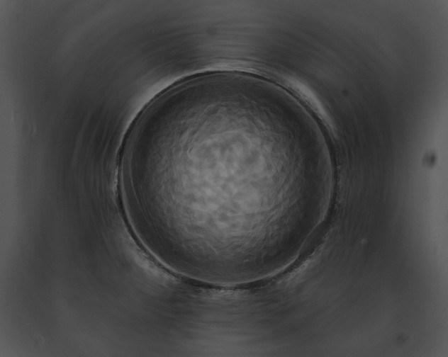 X0000091641284200708301351