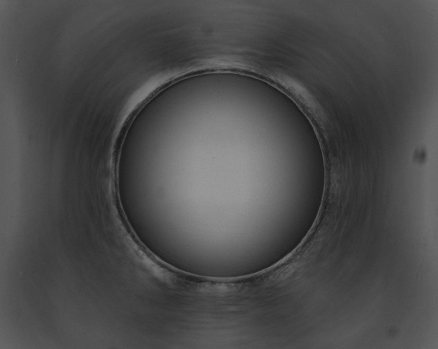 X0000091641286200708301351