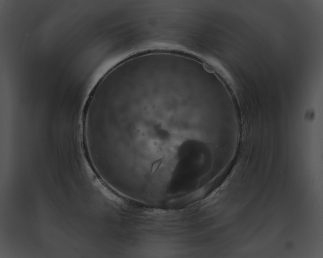 X0000091641287200708301351