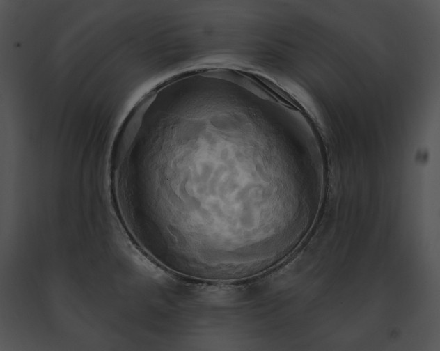 X0000091641288200708301351