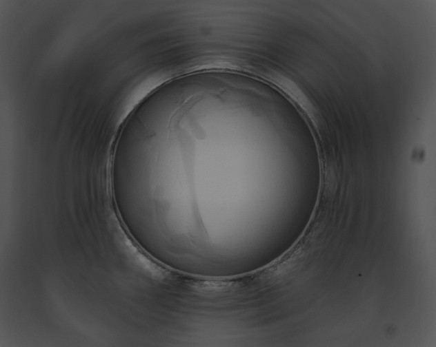 X0000091641290200708301351