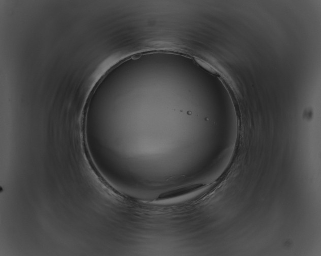X0000091641291200708301351