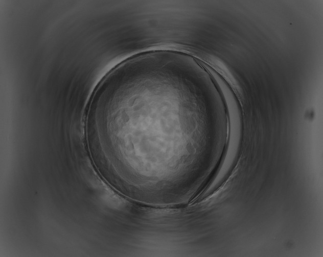 X0000091641292200708301351