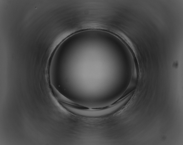 X0000091641293200708301351