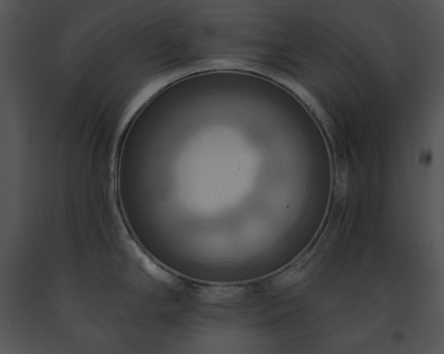 X0000091641294200708301351