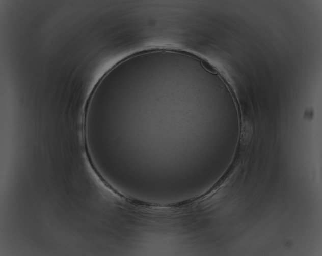 X0000091641295200708301351