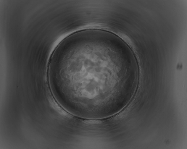 X0000091641296200708301351