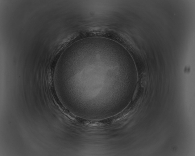 X0000091641298200708301350