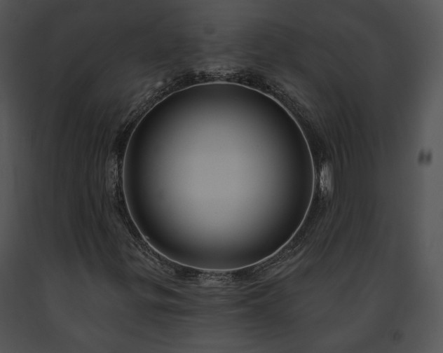X0000091641299200708301350