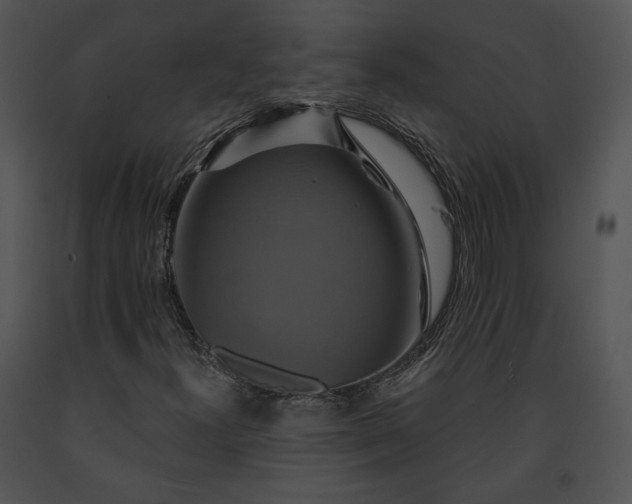 X0000091641300200708301350