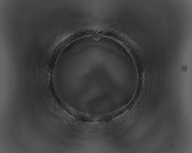 X0000091641302200708301350