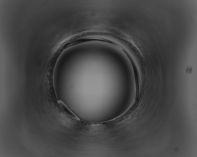 X0000091641304200708301350